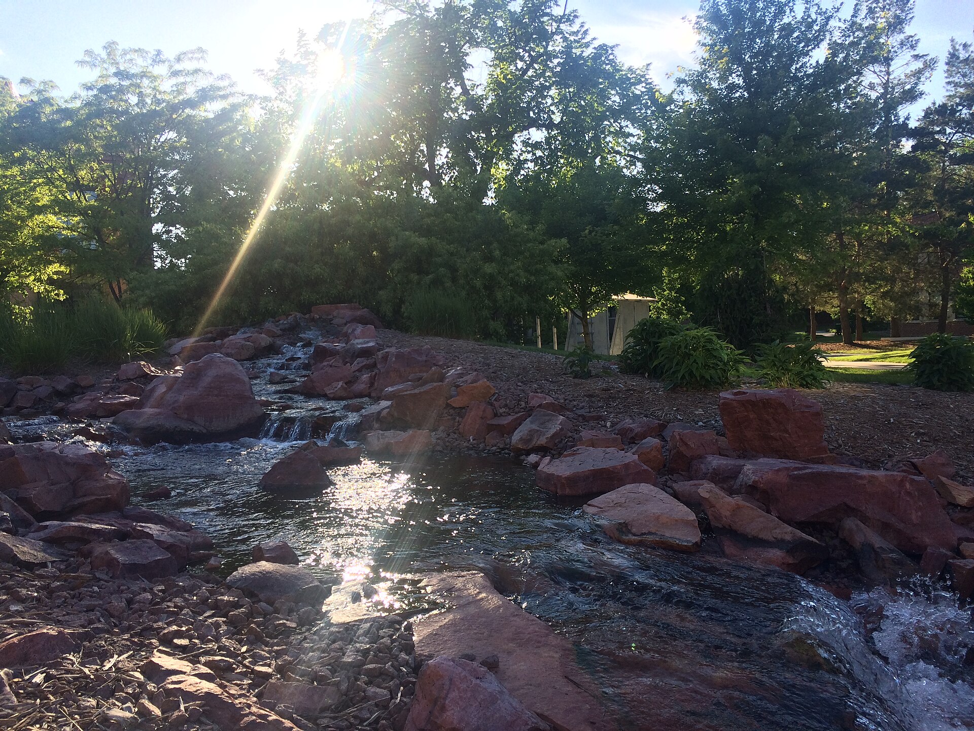 Clear trout stream riverbank during an early season hatch — Trout Start fly fishing guides