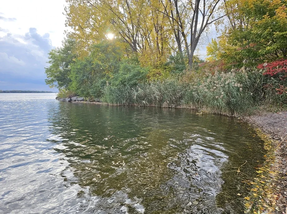 A calm trout lake shoreline in early autumn — month-by-month trout hatch calendar, Trout Start