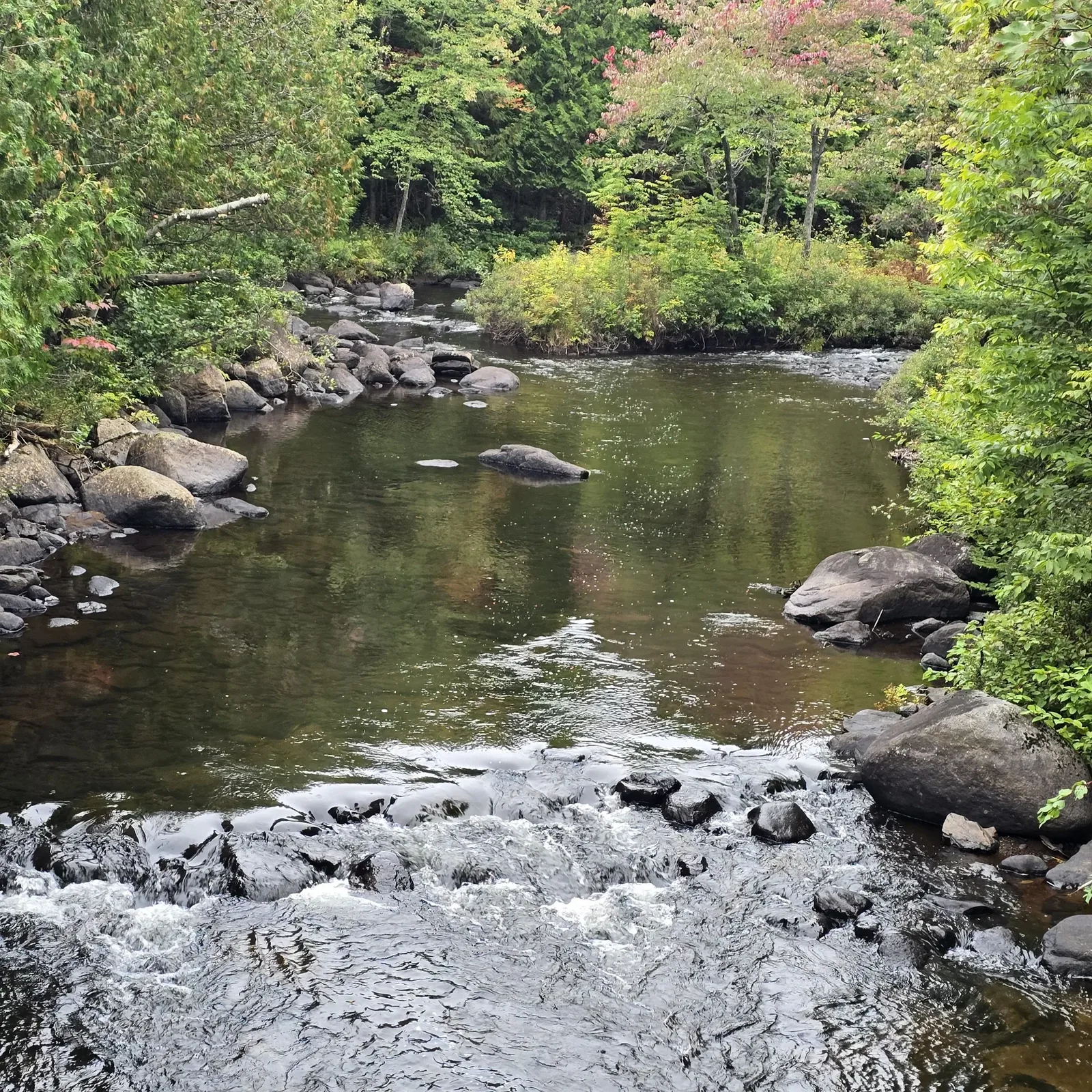 Slow bends, boulders, shade — the lies are there if you stop and look