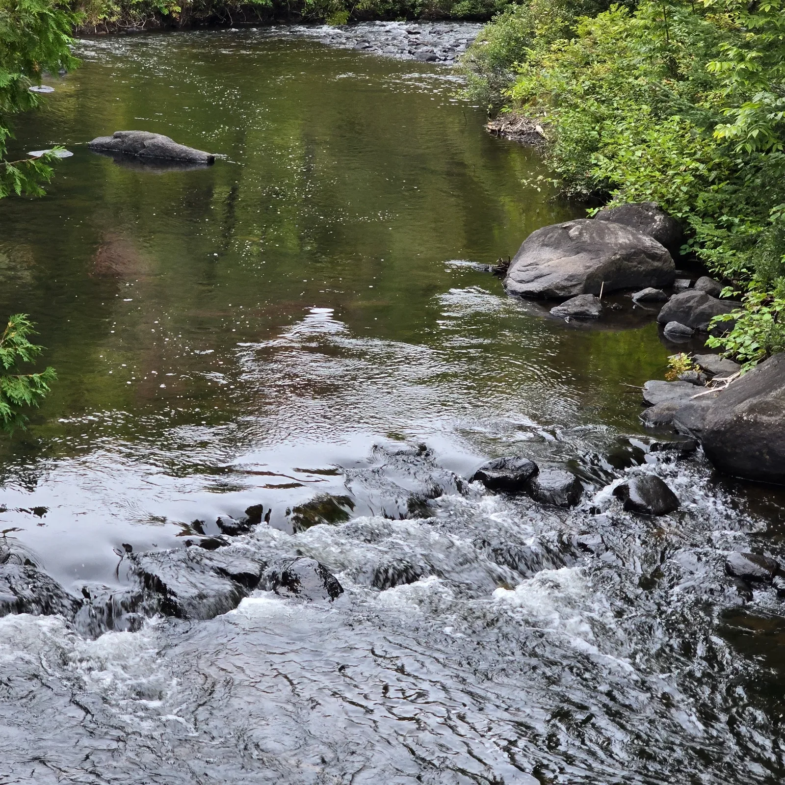A calm trout pool sliding into a rocky riffle — reading the seam where trout feed, Trout Start